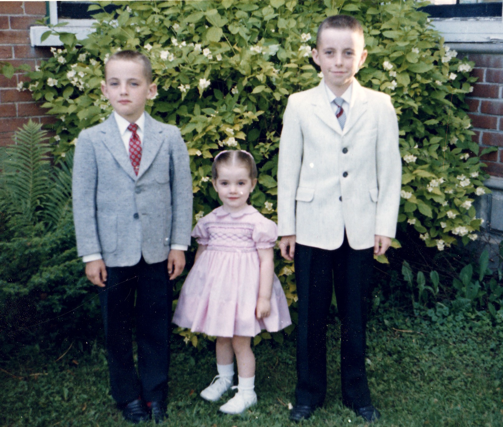 pictures/CECILIA & WILLIAM HUTCHISON/Groups/1.2.2 Brian, Sandra and Wayne.jpg